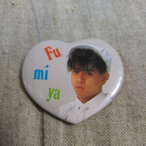 Может ли значок fujii fumiya