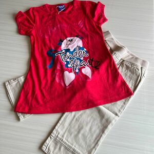 残り1点 130 新品タグ付き キッズ 女の子 くまプリント 半袖Tシャツ ハーフパンツ 上下セット