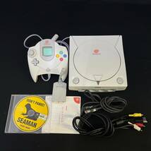 BDg240R 80 読込◯ SEGA Dreamcast HKT-3000 ドリームキャスト コントローラー HKT-7700 ビジュアルメモリ ソフト シーマン まとめ セット_画像1