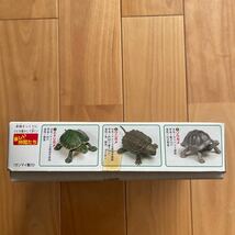 昭和レトロ IMAI イマイ 世界の亀コレクション ゼニガメ プラモデル 未組立_画像4
