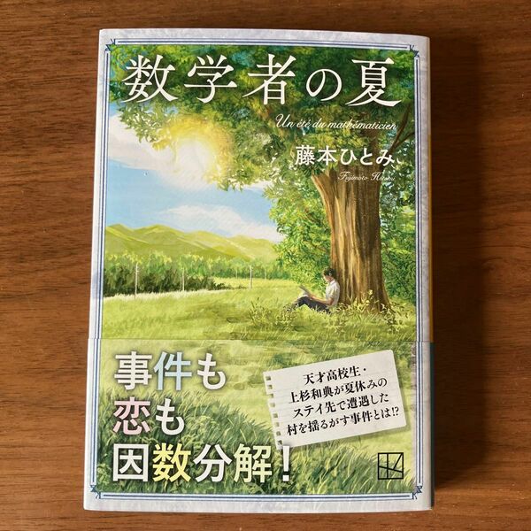 数学者の夏 藤本ひとみ