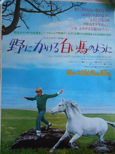 稀少　映画　野にかける白い馬のように　非売品　ポスター　Ｂ２
