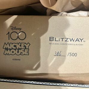 BLITZWAY CARBOTIX Mickey Mouse (D100Ver.) "MULTI" 386/500