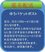 4本（2本＋訳あり2本）セット カラー変更可 メンズベルト レトロ ヴィンテージ_画像10