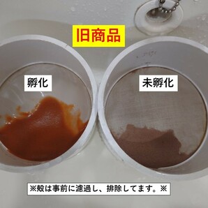 【グッピー太郎】中国産 ブラインシュリンプエッグス 425g×2袋の画像4