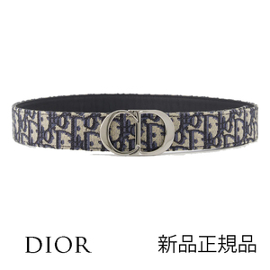 Новый неиспользованный Dior Dior Leather косо