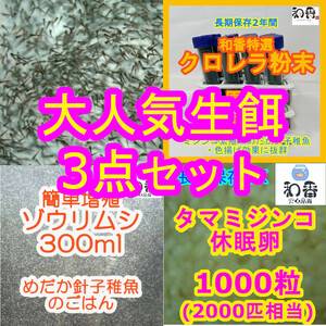 実績No1★送料安★大人気生餌3点 ゾウリムシ300ml＆タマミジンコ休眠卵1000粒&粉末生クロレラ 稚魚用 めだか金魚グッピーの餌エサえさPSB