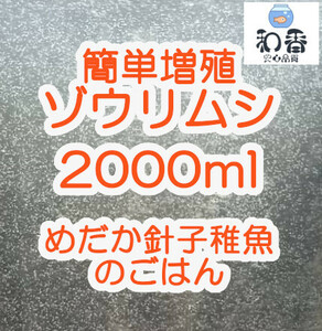 即給餌OK★ゾウリムシ 種水2000ml★沢山湧いてます★ めだかグッピーベタ金魚の稚魚 ビーシュリンプ 生餌に最適 ミジンコクロレラ