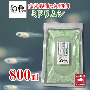 即日発送・送料安 植物性微生物 ミドリムシ800ml ユーグレナ 関連：めだかグッピーベタ金魚熱帯魚両生類など生クロレラグリーンウォーターの画像1