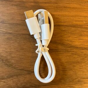 USB-C USB-A 充電ケーブル iPhone iPad Android 充電器 