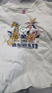 Vintage PEANUTS 東洋エンタープライズ㈱ MADE IN U.S.A. Tシャツ Lサイズ SUN SURF 送料込み 