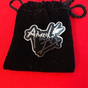 【2011年製】AMEBIX/【２点セット】メタルピンバッジ"SPLAT HEAD"+"LOGO”/GISM.GAUZE.GLOOM.DISCHARGE.GLOOM.FRAMTID.の画像2