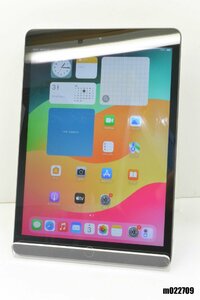 Wi-Fiモデル Apple iPad7 Wi-Fi 32GB iPadOS17.4.1 スペースグレイ MW742J/A 初期化済 【m022709】