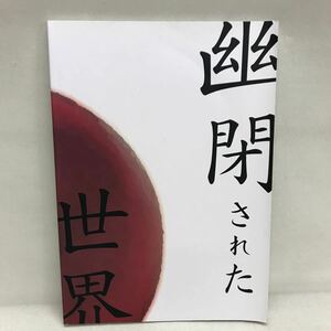 【3S34-073】送料無料 emmuree アンミュレ 幽閉された世界 2009年刊 10th Anniversary Book