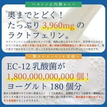 ［ヤフオク専用］乳酸菌 サプリ 菌活 ダイエット 腸活 EC12 ラクトフェリン ビール酵母 ビタミンB 約６ヶ月分 ゆうパケット_画像3