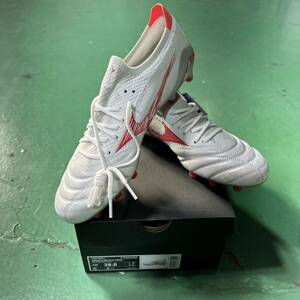 Mizunomorelia 4β Japan New 28 см.