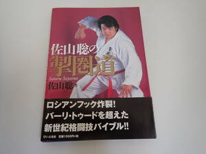 K2Dφ　佐山聡の掣圏道　佐山聡/著　初版　帯付き　ぴいぷる社