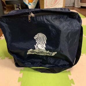 しっかりしたお土産用バッグ