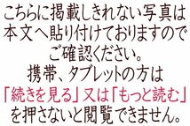 使用僅か！21年製 超美品！ホシザキ星崎 1800×600 台下冷凍庫 オールフリーザー FT-180SNG コールドテーブル 天板作業台 店舗厨房業務用_画像10