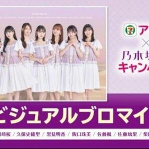 乃木坂46 ビジュアルブロマイド 7-11アプリ キャンペーン C賞(印刷済)□内容等は画像を確認して下さい。