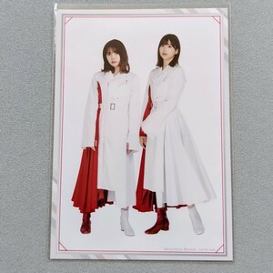 櫻坂46 渡邉理佐 小林由依 生写真