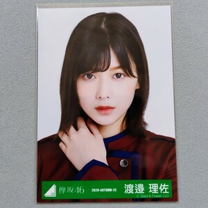 櫻坂46 渡邉理佐 2020 Autumn 生写真