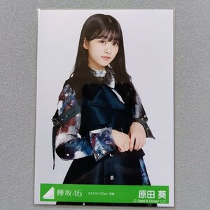 櫻坂46 原田葵 ラストライブ Day1衣装 生写真