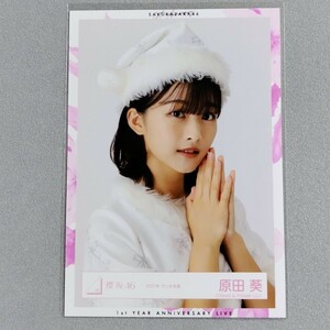 櫻坂46 原田葵 2021年 サンタ衣装 生写真