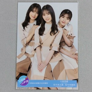 日向坂46 小坂菜緒 佐々木美玲 佐々木久美 日向坂46新聞 2022年 春号 生写真