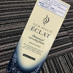 ヘアボーテ エクラ　EX　 ボタニカル エアカラーフォーム　ナチュラルブラック　80ｇ×1本