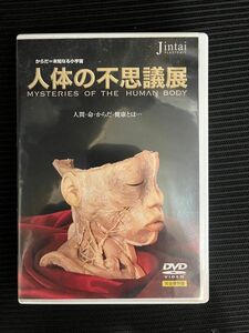 人体の不思議展　DVD