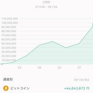 【限定1名のみ】BTC FX プレミアム手法の画像1