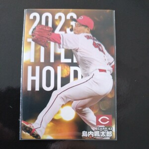  Calbee Professional Baseball chip s2024 the first . title holder card T-04 Hiroshima Toyo Carp island inside . Taro 