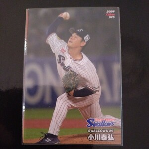 カルビープロ野球チップス2024第一弾レギュラーカード025　東京ヤクルトスワローズ　小川泰弘