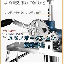 手動製麺機 水洗える ステンレス製麺筒 そば/うどん/生パスタなど 家庭/業務用 10種類の麺先付き ダブルギア 高効率 ダブルハンドル_画像5