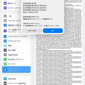 iPad Pro 11インチ 第2世代 Wi-Fi 256GB スペースグレイ の画像7