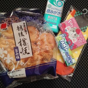 食品詰め合わせ５００円クーポン消化セット