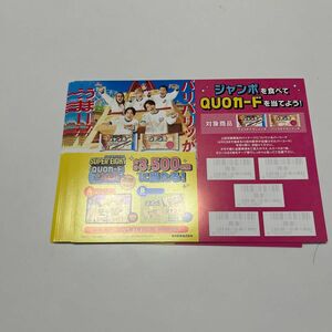 匿名発送　ジャンボモナカ　応募用紙　30枚