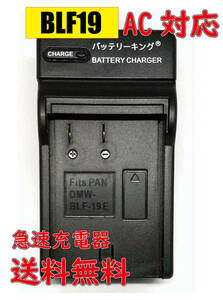 [ free shipping ] Panasonic DMW-BLF19 DMW-BTC10 DMC-GH3 LUMIX DMC-GH3A / DMC-GH3H / DMC-GH3 AC fast charger interchangeable goods 