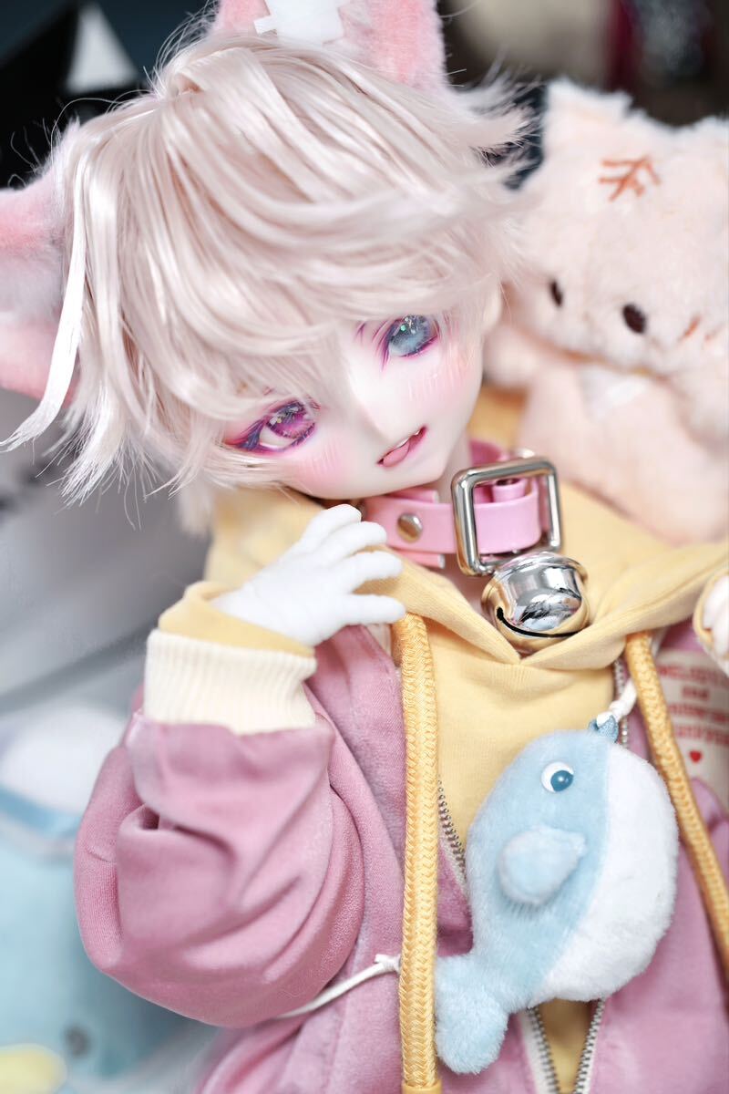 Err:509, doll, character doll, dollfie dream, parts