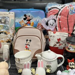 Disney ディズニー 雑貨 まとめ グラス バッグ キーホルダー タオル ポップコーンバケツ プリンセス ミッキー ミニー プーさん K-0417-06 の画像7