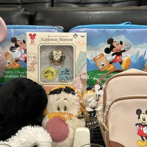 Disney ディズニー 雑貨 まとめ グラス バッグ キーホルダー タオル ポップコーンバケツ プリンセス ミッキー ミニー プーさん K-0417-06 の画像9