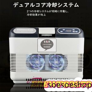 車載冷蔵庫 15L ポータブル冷蔵庫 -10℃～+65℃調整 持ち運べる小型冷蔵庫 クーラーボックス 家庭用車載用 静音 DC12V/24V 110V 白&灰色