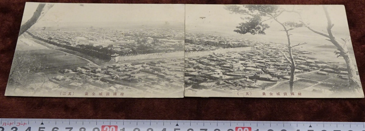 稀有书京都 h12 战前韩国韩国庆尚城全景实用明信片 1910 年照片是历史, 绘画, 日本画, 花鸟, 飞禽走兽