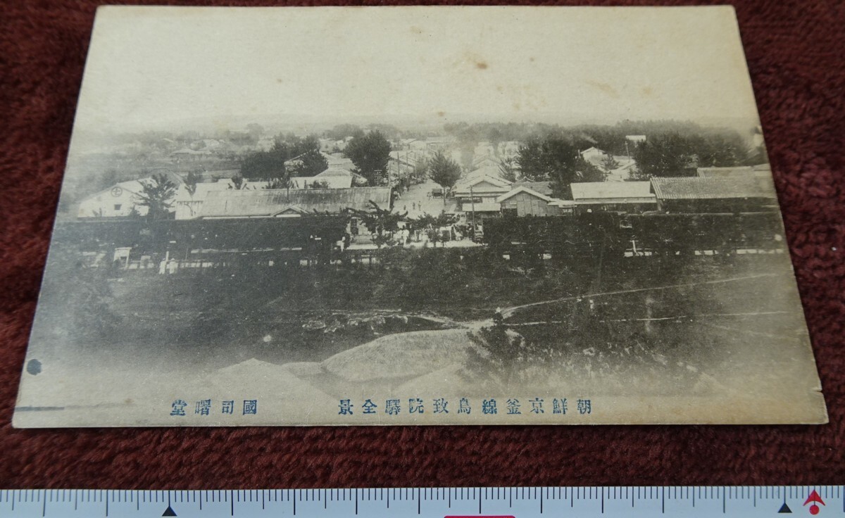 rarebookkyoto h379 戦前朝鮮 京釜線鳥致院駅全景 絵葉書 1910年 国司曙堂 写真が歴史である, 絵画, 日本画, 花鳥, 鳥獣