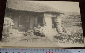 Art hand Auction rarebookkyoto h448 戦前朝鮮 風俗風景 絵葉書 1910年 韓国平壌 岩下写真館 写真が歴史である, 絵画, 日本画, 花鳥, 鳥獣