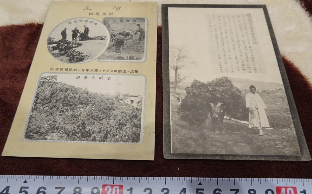 rarebookkyoto h127 조선공무원 설날 사진엽서 1913년 만주사변 이조 대한제국 료, 그림, 일본화, 꽃과 새, 조수