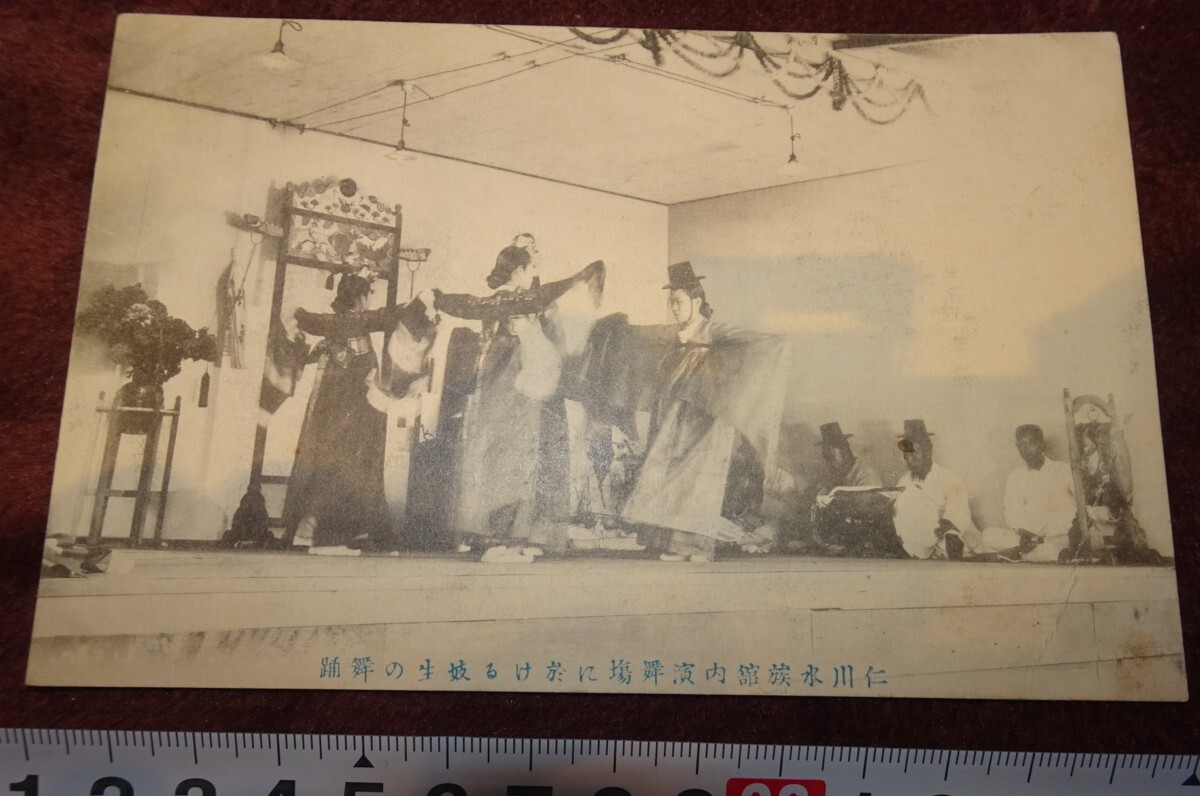 稀有书京都 o510 韩国总督府时代 仁川水族馆 艺生舞 实用图画明信片 1920 仁川涩川图画明信片店 李金氏李朝韩国, 绘画, 日本画, 花鸟, 飞禽走兽