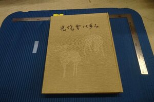 Art hand Auction rarebookkyoto F8B-270 光悦会の歩み 大型本 1981年 写真が歴史である, 絵画, 日本画, 花鳥, 鳥獣