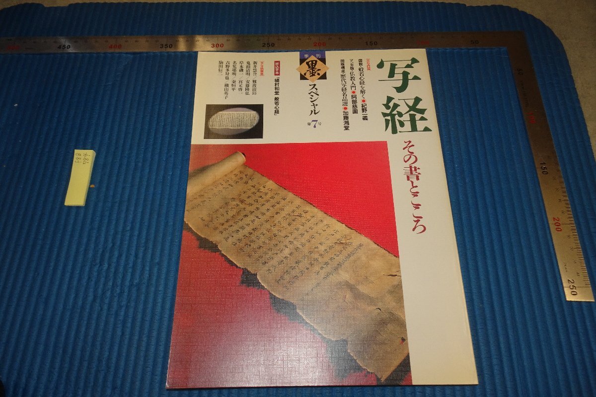 rarebookkyoto F8B-784 写経 7 墨 雑誌特集 大型本 1991年 写真が歴史である, 絵画, 日本画, 花鳥, 鳥獣